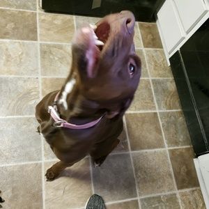 Meet your Posher, Lori